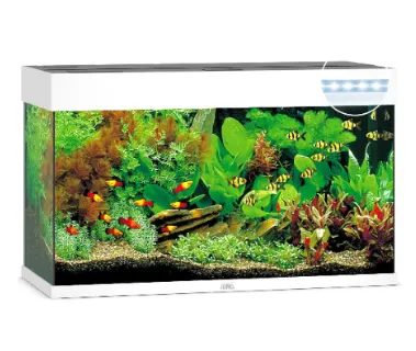 Juwel Acvariu Led Rio 180 Alb