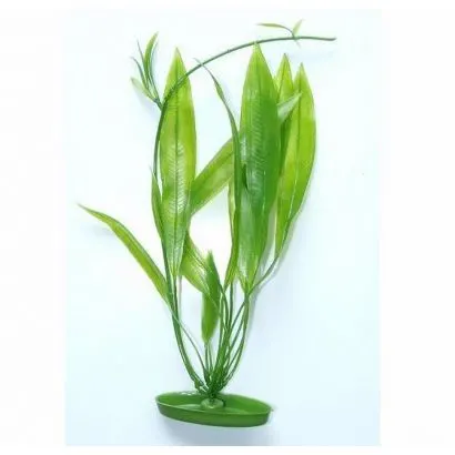 Marina Planta Amazon Sword 20 cm PP801