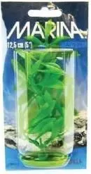 Marina Plante Hygrophila 12,5 cm PP513