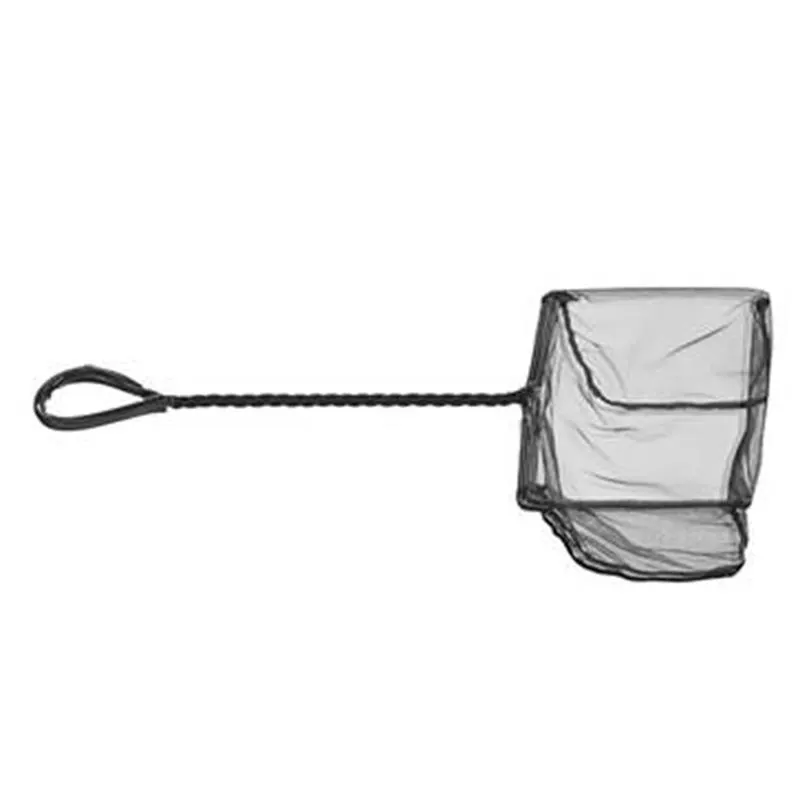 Minciog Oase 10 cm