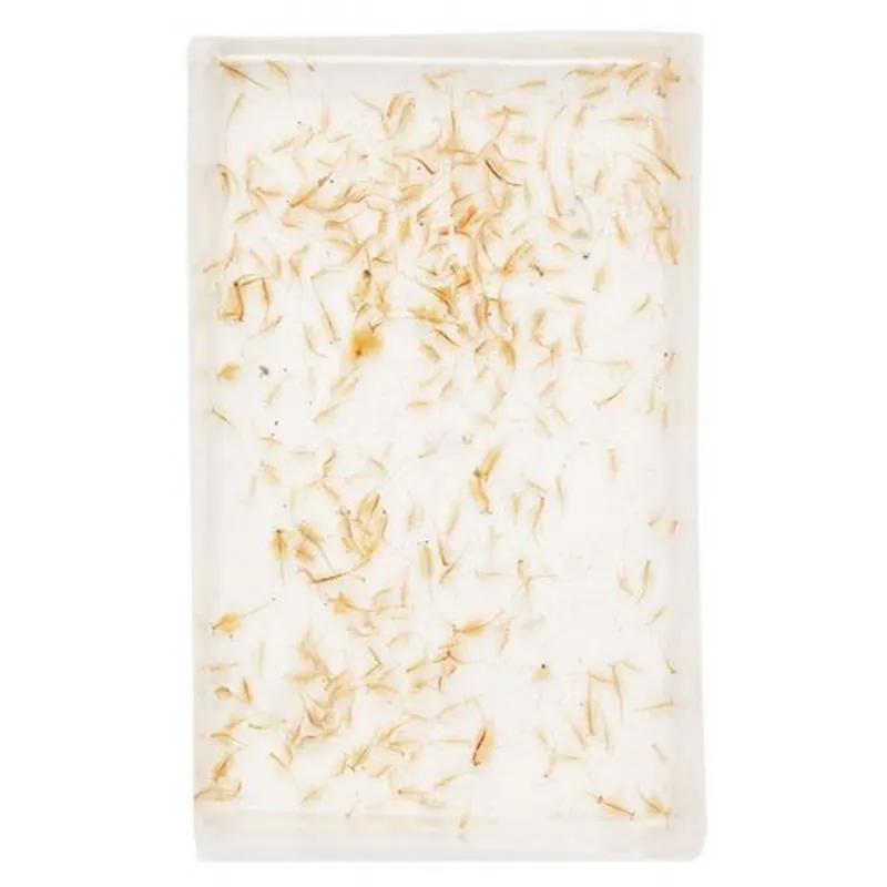 Mysis vii 25x90ml