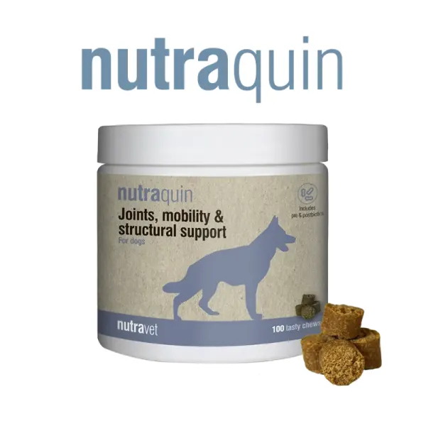 Nutravet Nutraquin, Caini, 50 chews