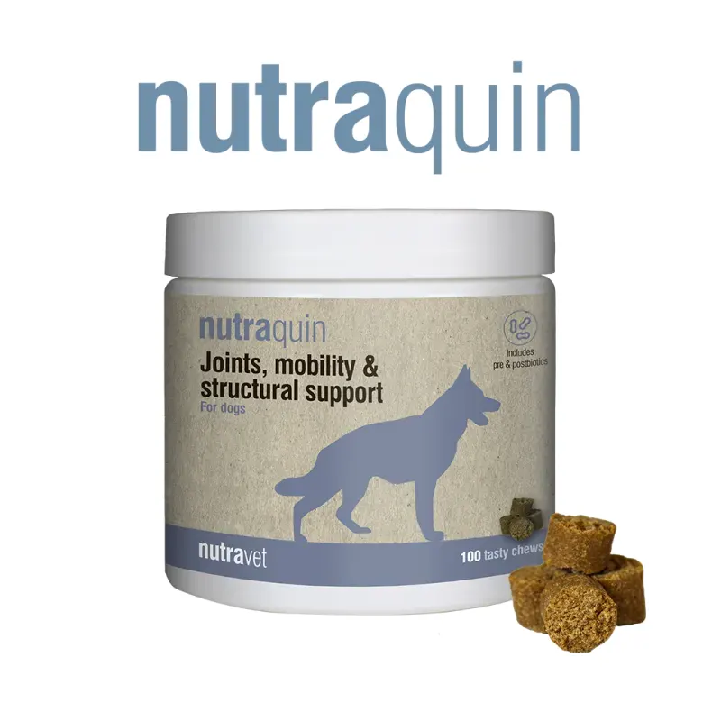 Nutravet Nutraquin, Caini, 50 chews