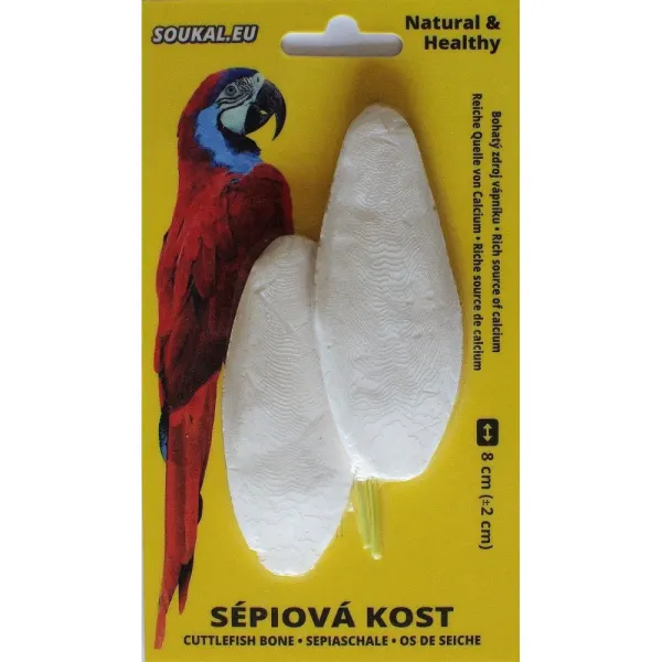 Os sepie 2 buc - 8 cm