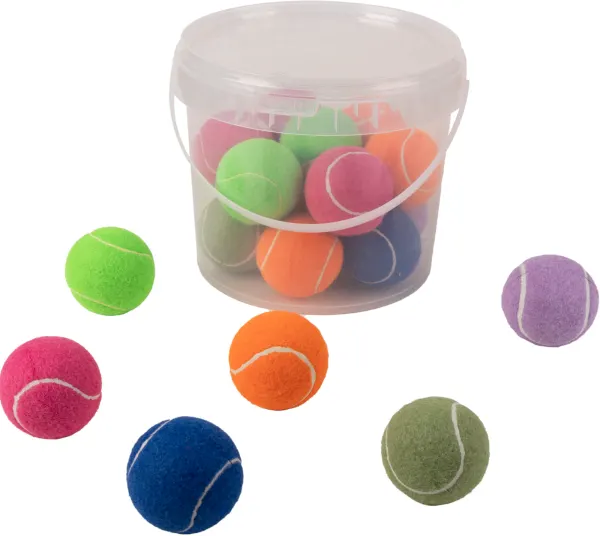 Pawise Hard Tennis Ball Set 20 Buc