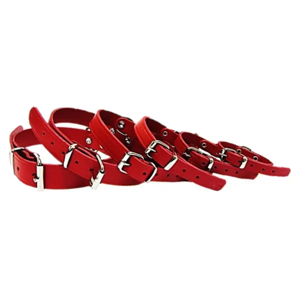 Pet Expert Zgarda Clasic Rosu - nr-3