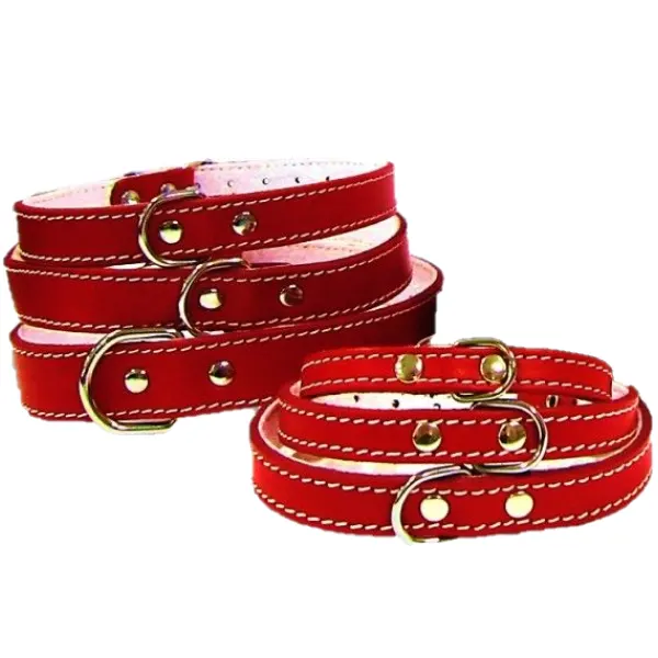 Pet Expert Zgarda Pasla cm Rosu - nr-1