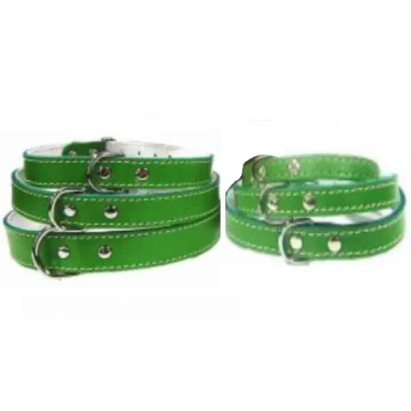 Pet Expert Zgarda Pasla Verde - nr-5