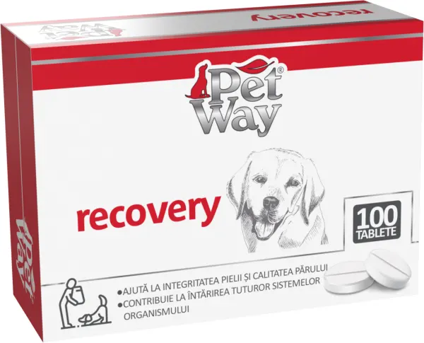Petway Recovery - 100 Tablete