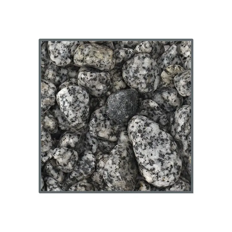 Pietris Dupla Ground nature Dalmatiner Stone 10-25mm 2kg