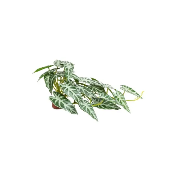 Planta artificiala Hobby Calathea 2