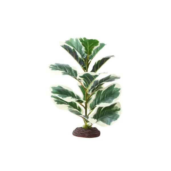 Planta artificiala Hobby Ficus Elastica 1