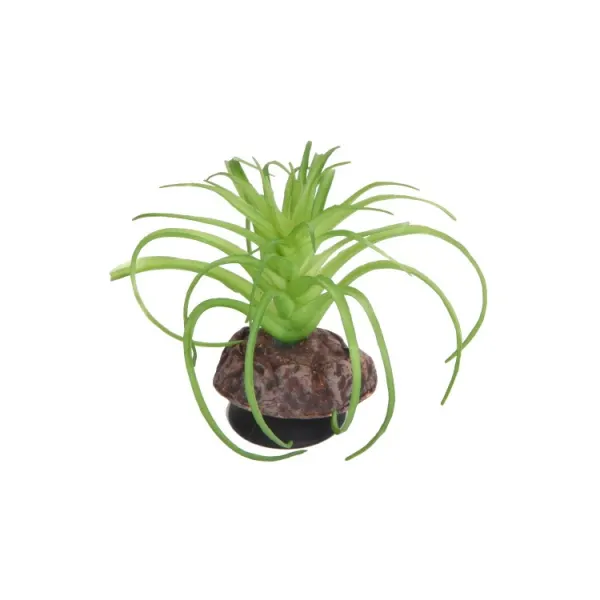 Planta artificiala Hobby Terra Succulent 5