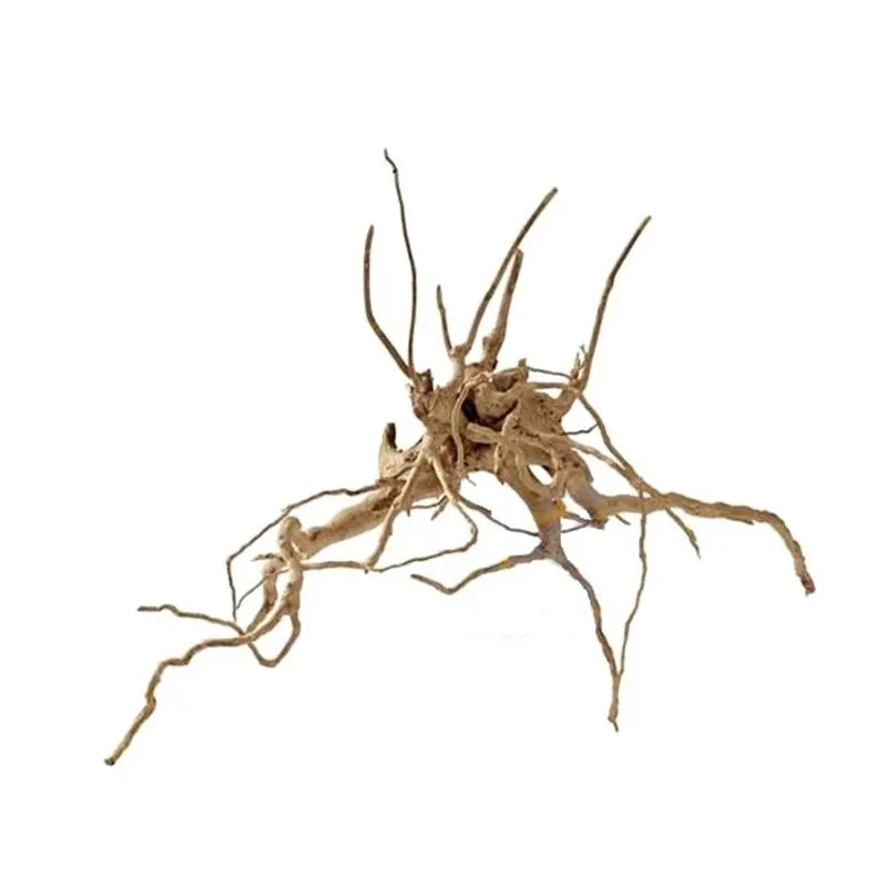 Radacina Hobby Fingerwood L 40-60cm