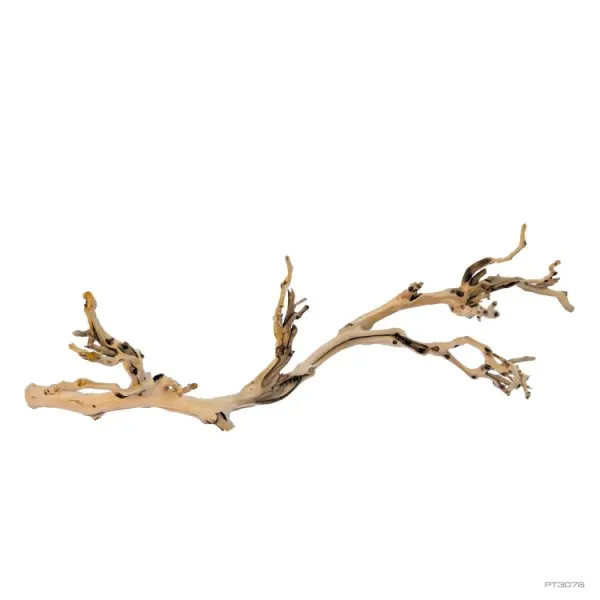 Ramura Vita de vie ExoTerra Forest Branch Large cca 60cm