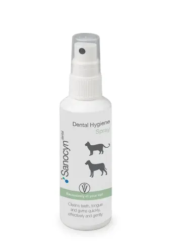 Sanocyn Forte Dental Hygiene Spray, 75 ml