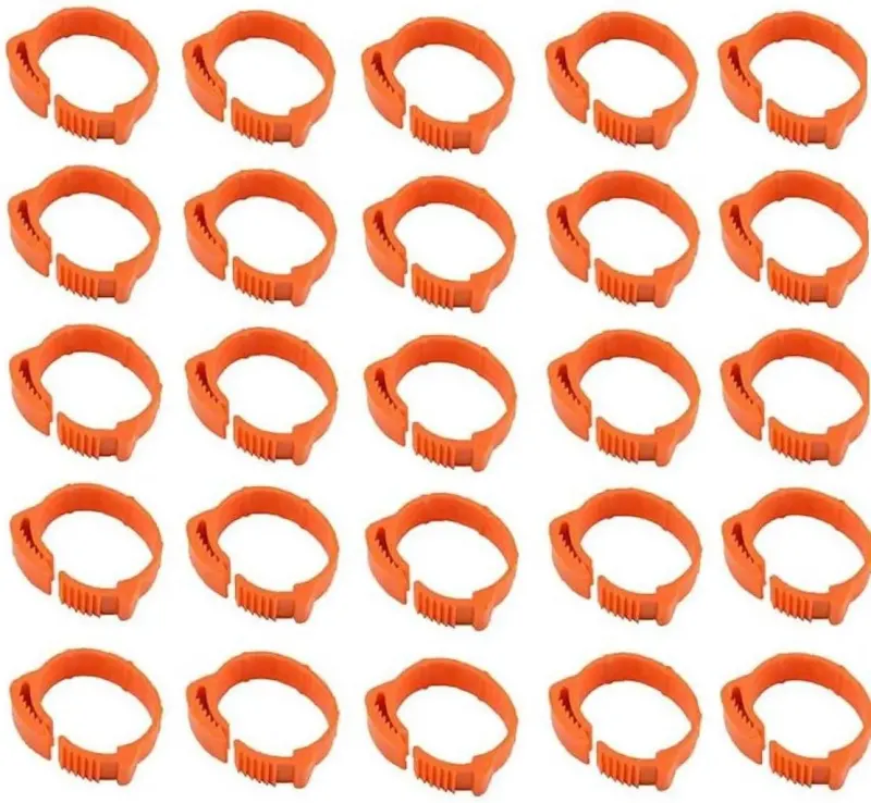 Set 100 inele ajustabile pentru pasari, Plastic, Portocaliu