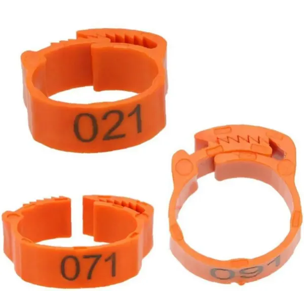 Set 100 inele pentru pasari, Plastic, 1-100, Portocaliu