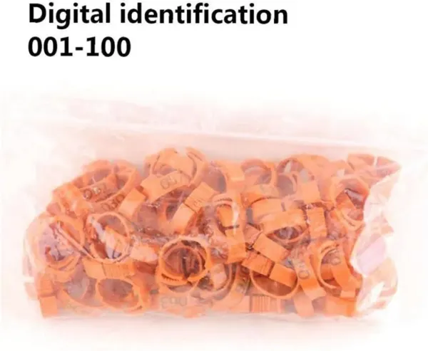 Set 100 inele pentru pasari, Plastic, Portocaliu