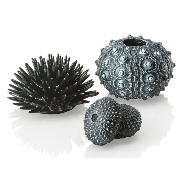 Set 3 arici de mare Oase biOrb Seeigel negru