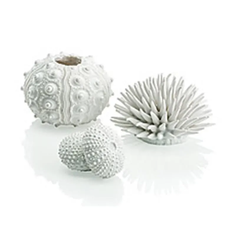 Set 3 arici de mare Oase biOrb Seeigel Set alb