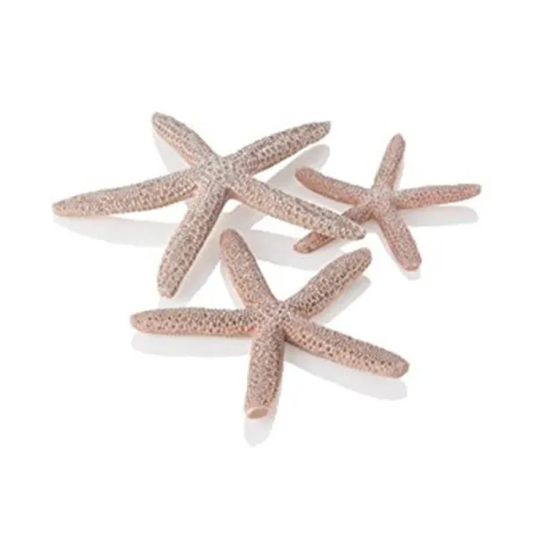 Set 3 stele de mare Oase biOrb Seesterne natural