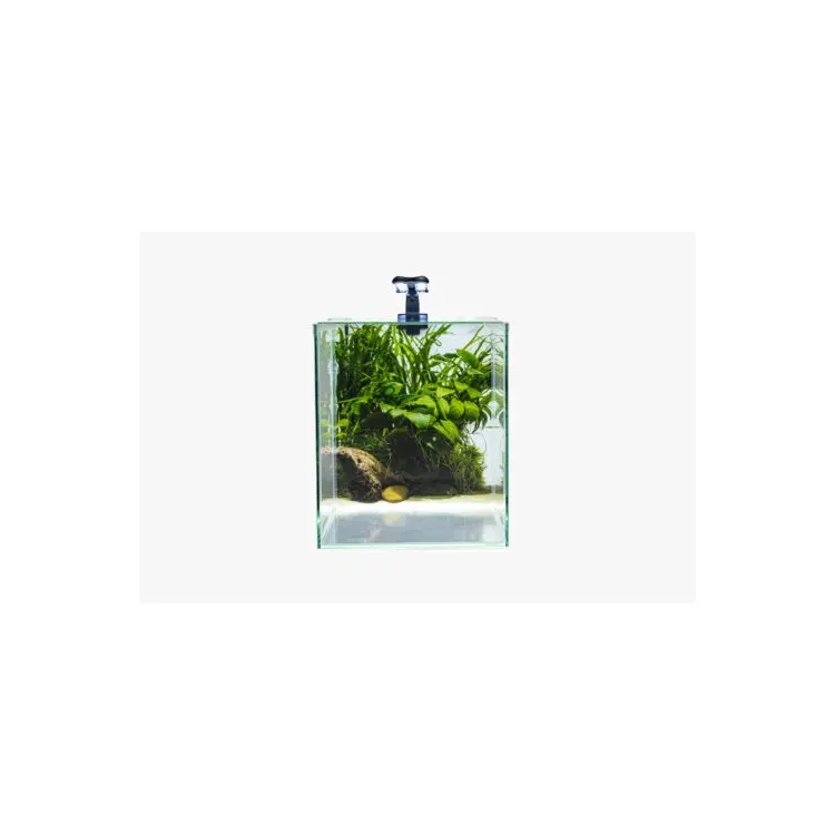 Set acvariu Diversa 31l (30x30x35cm) NEOlight 30 Backgroundplante