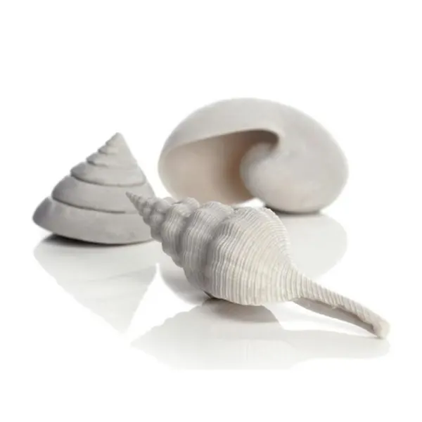 Set de 3 cochilii Oase biOrb Sea albe