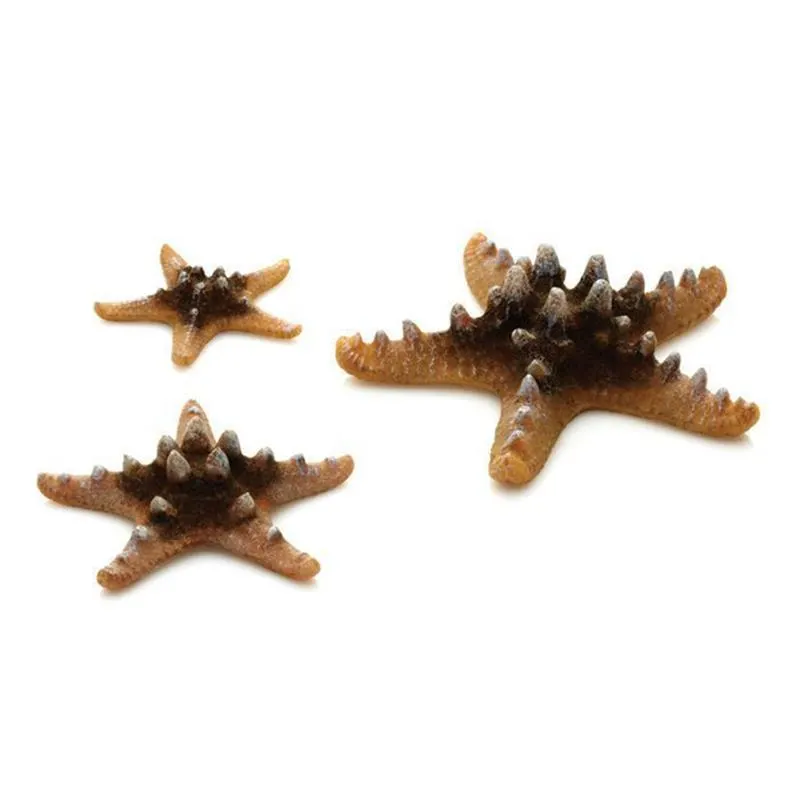 Set de 3 stele Oase biOrb Sea Star natural