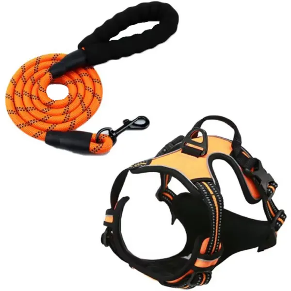 Set Ham și Lesa, pentru Caini, Marimea L, Benzi reflectorizante, Maner control, Material textil, Portocaliu Engros