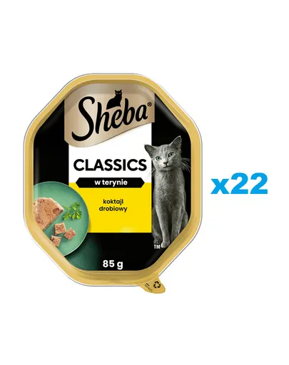 SHEBA Classics 22x85g pate pentru pisici adulte, cu pasari de curte