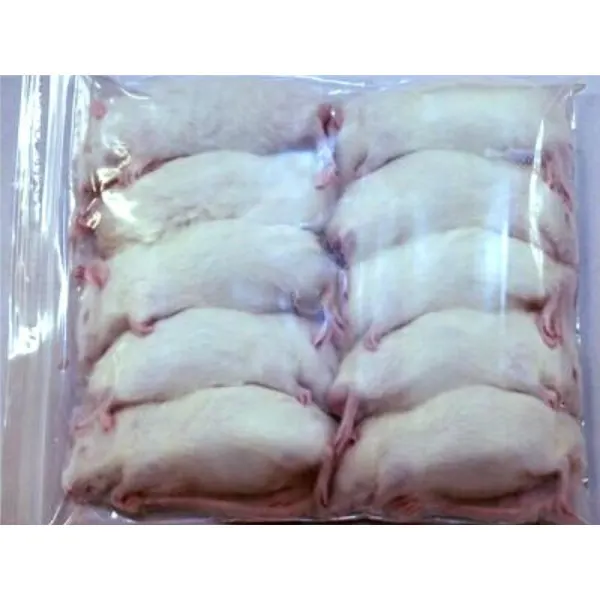 Soareci congelati mari 10buc