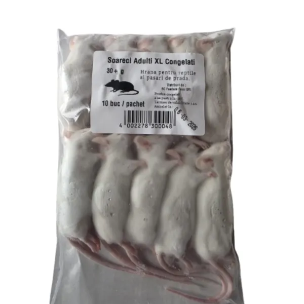 Soareci congelati mari XL +30gr 10buc