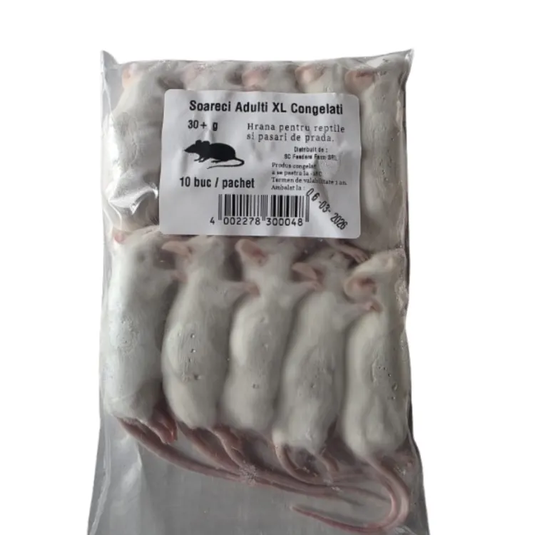 Soareci congelati mari XL +30gr 10buc