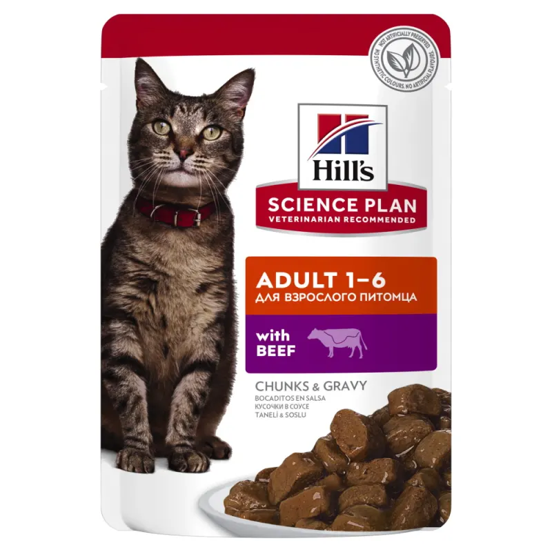 SP FELINE ADULT BEEF 12x85 G (PLICURI)