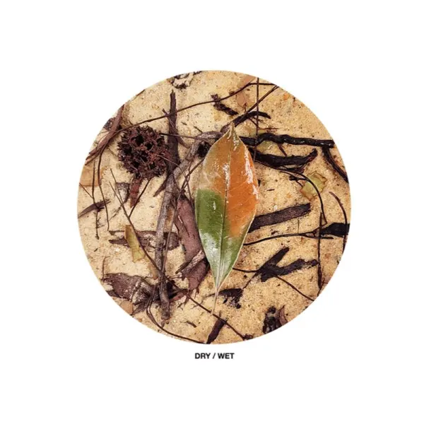 Substrat decorativ acvariu sau terariu WIO Everglades 5kg