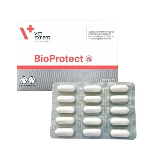 Supliment nutritiv pentru caini  pisici Bioprotect 60 caps