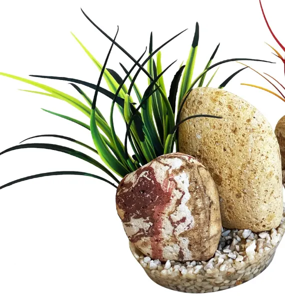Sydeco Decor Rainbow Stone Plants 14 cm 380505