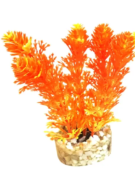 Sydeco Planta Aqua Mini Flower 10 cm 385001