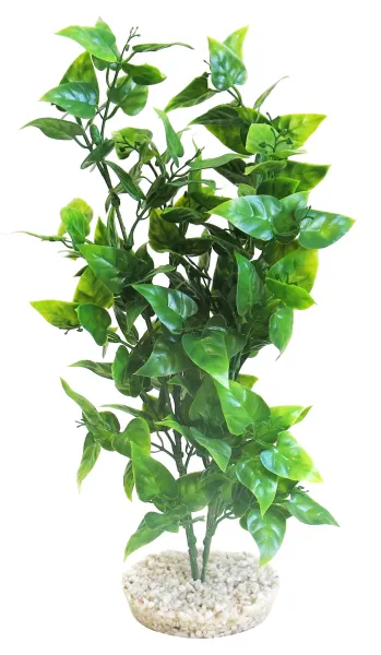 Sydeco Planta Heart-Shaped Leaves 32 cm 380342