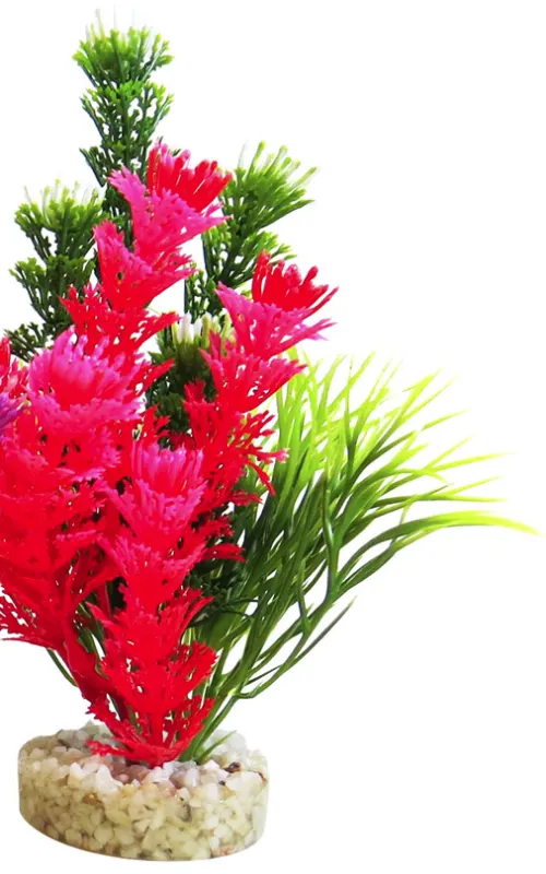 Sydeco Planta Magic Fiesta Colours 16 cm 380269