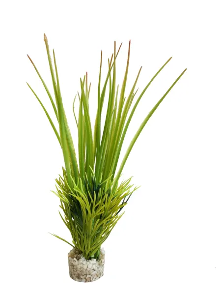 Sydeco Planta Oasis Baby 18 cm 380061