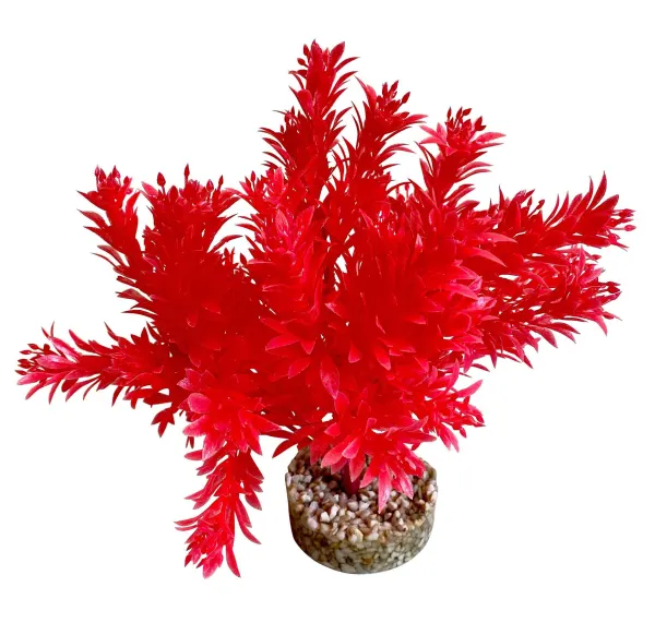 Sydeco Planta Sweet Bowl 18 cm 349650