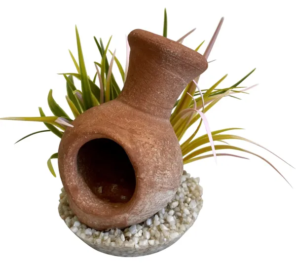 Sydeco Planta Whisky Jar Plants 18 cm 380489