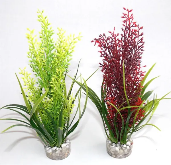 Sydeco Plante Tropica 20cm 350107