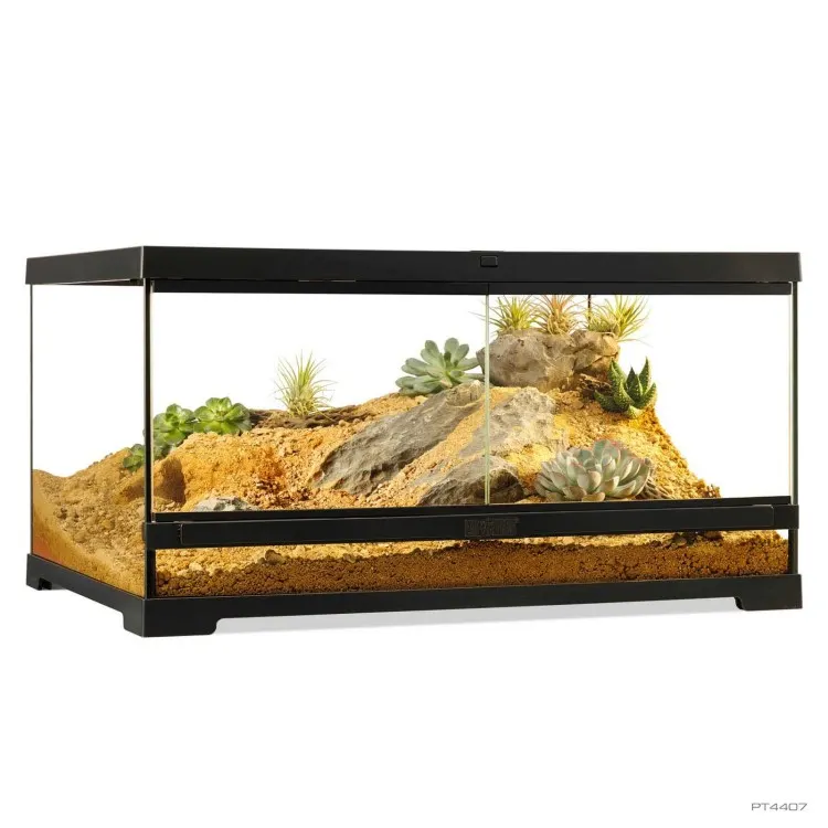 Terariu ExoTerra (60x45x30cm) Pro Terrarium Medium Low