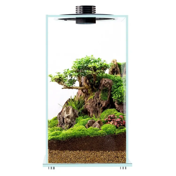 Terariu Plante Bioloark Bio Bottle FD250 Wabi-Kusa