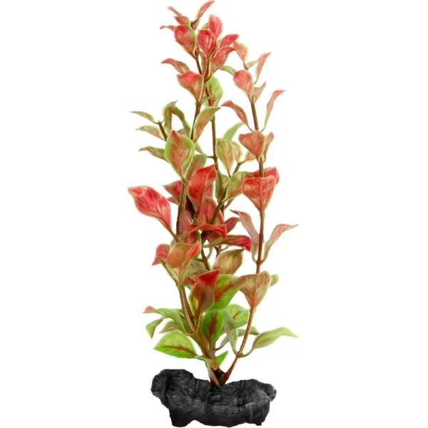 TETRA PLANTA DECOART RED LUDWIGIA M 30 CM