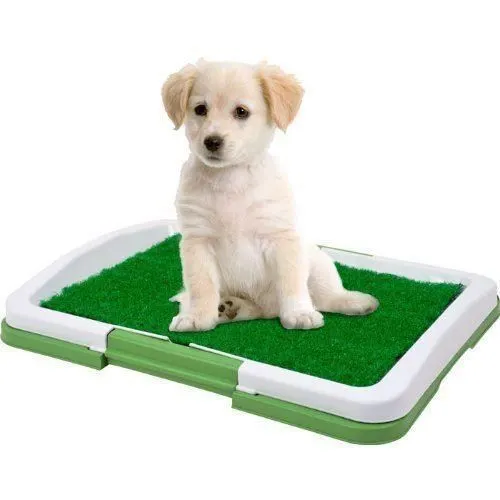 Toaleta cu iarba ENGROSS artificiala pentru animale, Puppy Potty Pad