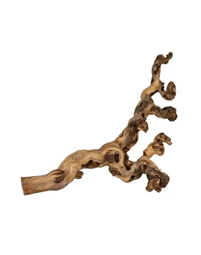 TRIXIE Decoratiune terariu, radacina vita 5 buc. sablate 40-60 cm